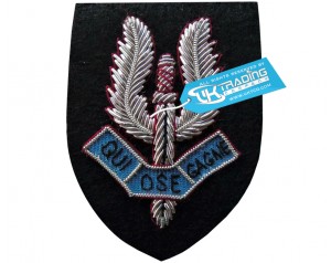 France Military Badge